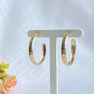 Detalhes do produto Brinco Argola Folheado a Ouro