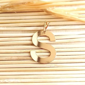 Detalhes do produto Pingente Letra S lisa 20mm, Folheado a ouro
